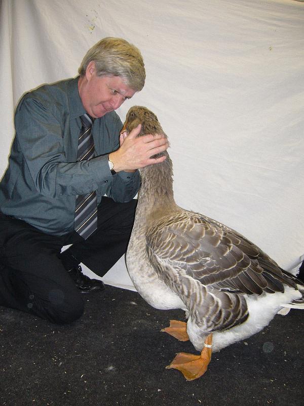 Munster 2009 854.jpg - Schau mir in die Augen